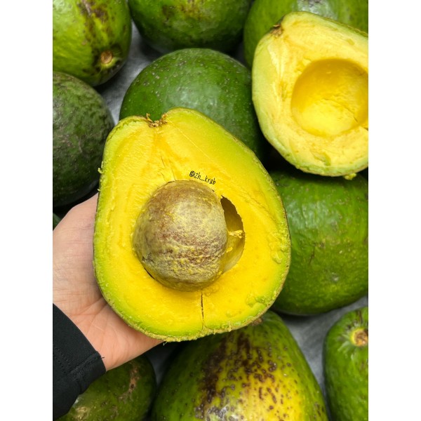 Авокадо Карла (Доминикана)